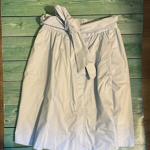 Club Monaco Light Blue A-Line Skirt